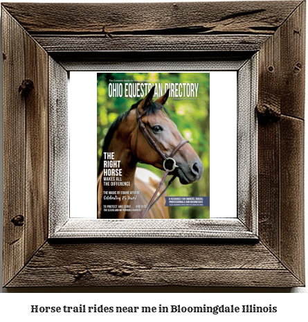 horse trail rides near me in Bloomingdale, Illinois